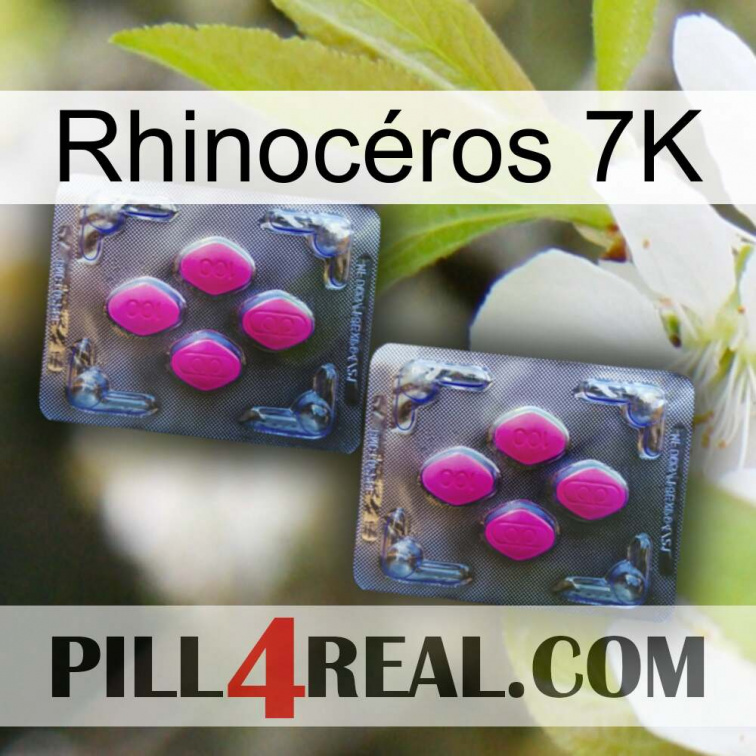 Rhinocéros 7K 01
